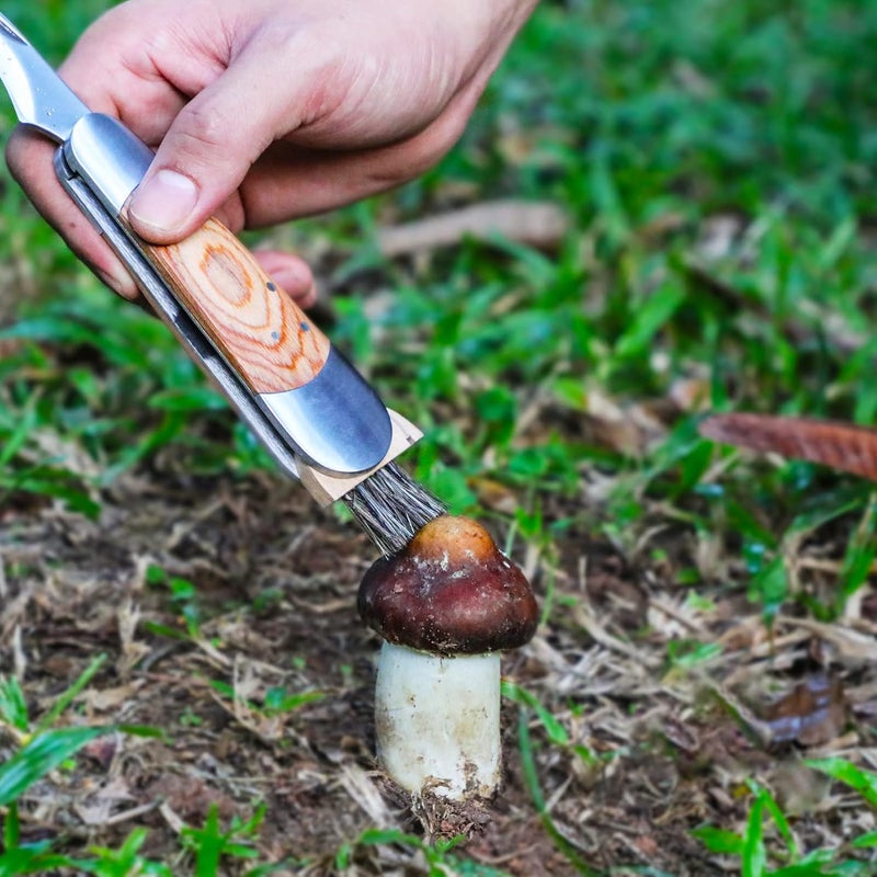 Coowolf Mushroom Knife with Brush and Sheath, Curved Stainless Steel Blade, Hardwood Handle, 7.06 Inch Folding Design, for Morels, Porcini, Chanterelles, Foraging Mushroom Gifts - Image 5